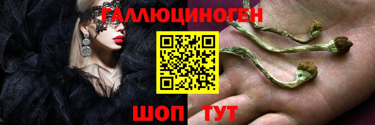 Керчь  закладки  Вход с VPN  Галлюциногенные грибы Psilocybe 